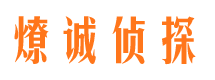 平利市场调查